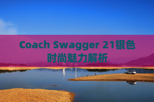 Coach Swagger 21银色时尚魅力解析